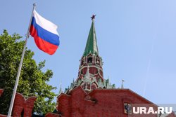 Сестра похитившего 70 млн рублей при реставрации Кремля получила срок