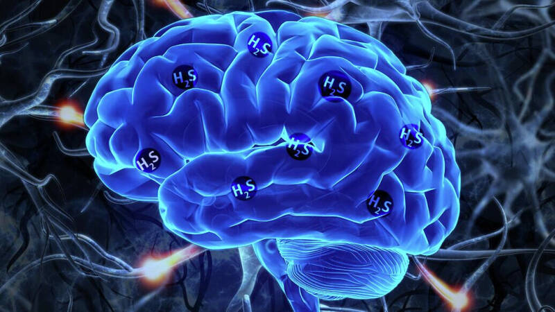 В России снизилась заболеваемость психическими расстройствами