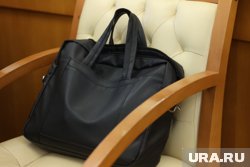 Власти курганского округа готовы принять на должность первого замглавы выпускника техникума. Скрин