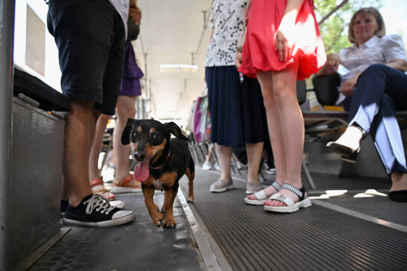 Парад ретро-трамваев в Москве