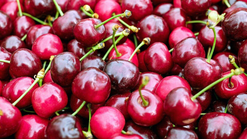 Диетолог назвала допустимую порцию черешни