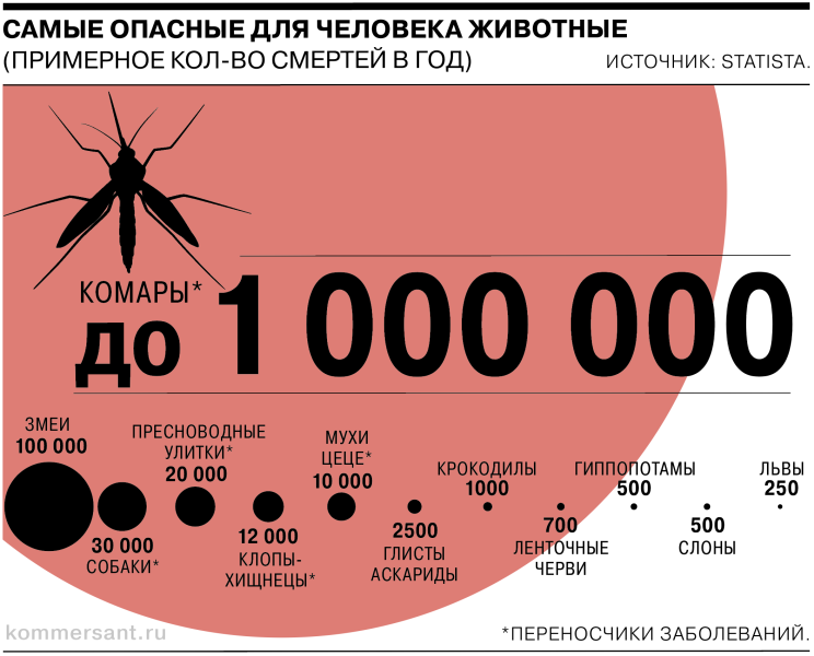 Комары возглавляют топ смертоносных для человека животных
