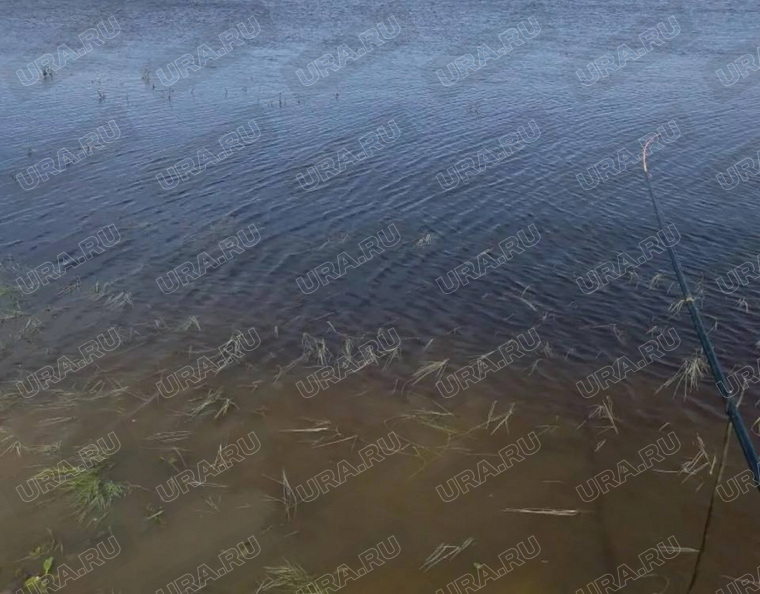 «Сердце остановилось»: подробности гибели семьи на рыбалке в Тавде. Фото