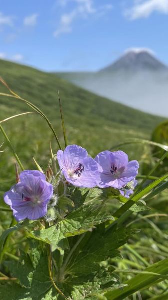 Чудеса на краю света. Зачем туристы едут на Курилы