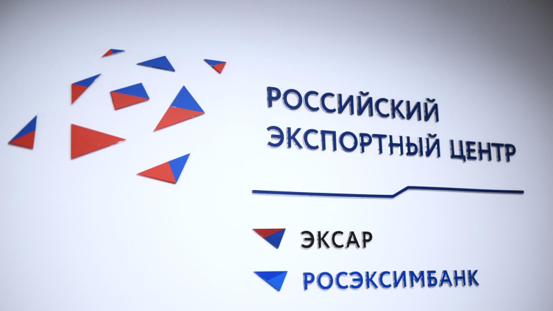 РЭЦ: объем поддержки поставщиков из Арктической зоны составил $250 млн