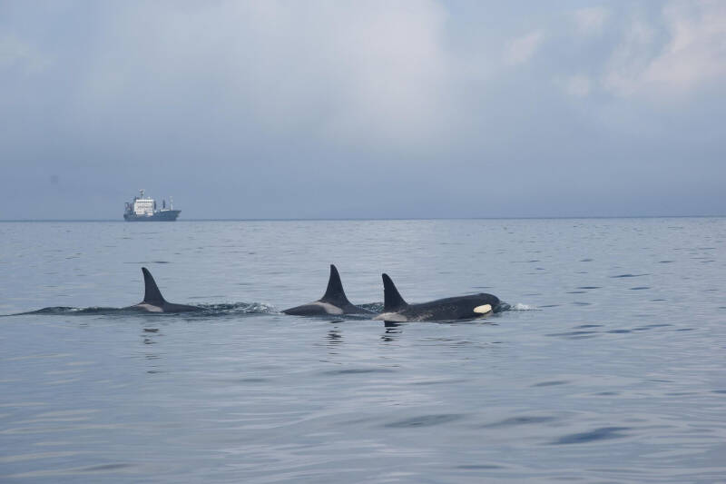 Чудеса на краю света. Зачем туристы едут на Курилы