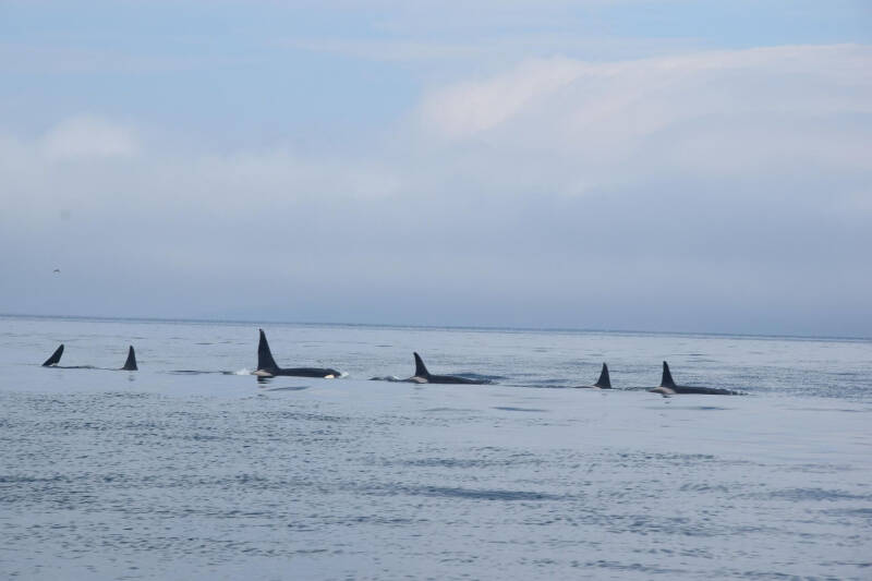 Чудеса на краю света. Зачем туристы едут на Курилы
