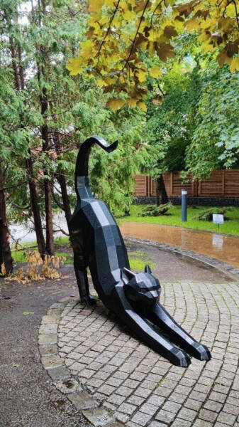 Самый симпатичный российский курорт. Гид по Зеленоградску