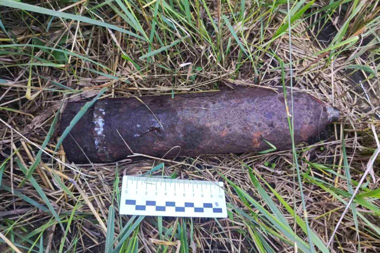 На курганском озере обнаружен взрывоопасный снаряд. Фото