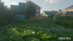 Челябинцам раскрыли риски покупки земли без установленных границ